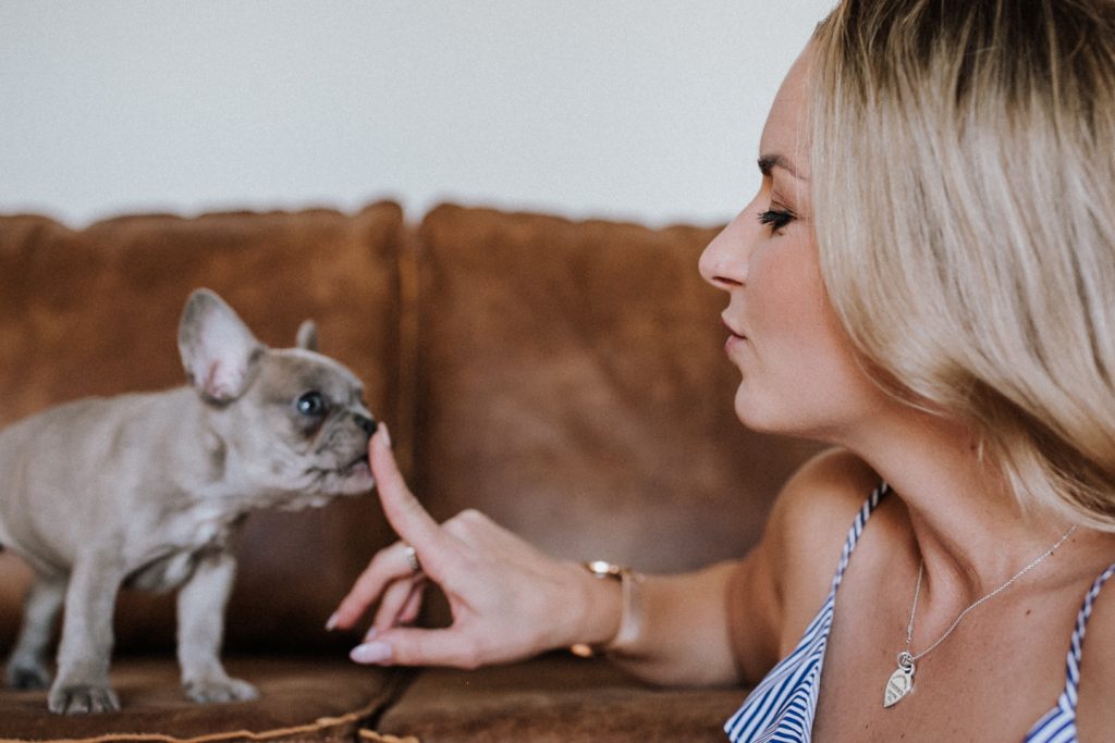 fellfreundschaften-frenchbulldog-puppy-saarland-saarwellingen