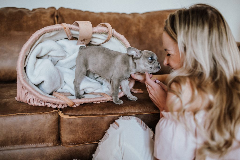 fellfreundschaften-frenchbulldog-puppy-saarland-saarwellingen