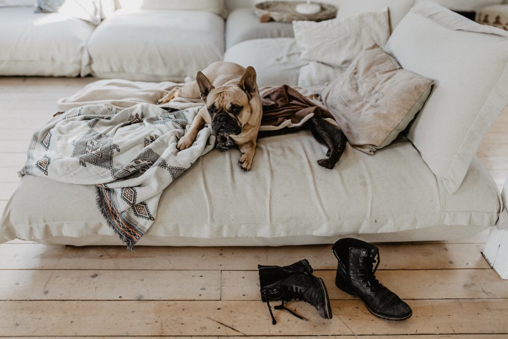 fellfreundschaften-laura und toni-homestory-saarwellingen-saarland