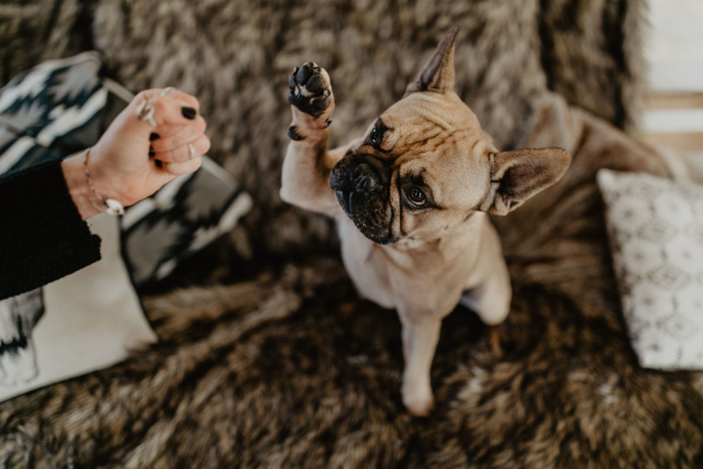 fellfreundschaften-laura und toni-homestory-saarwellingen-saarland