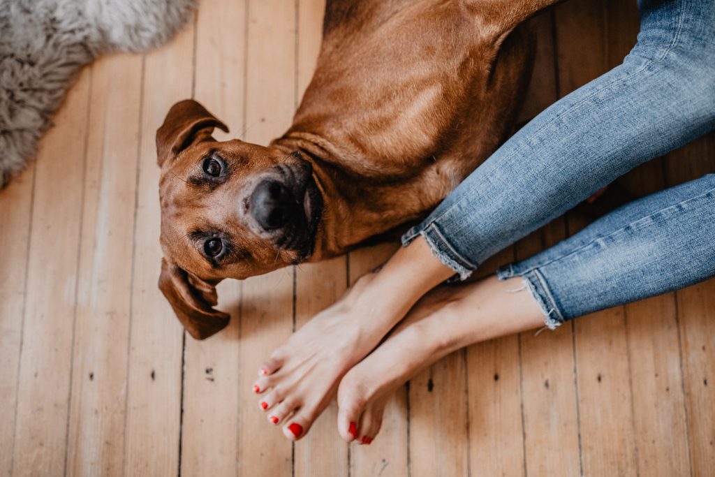 fellfreundschaft-carlos und jessi-homestory-saarwelllingen-saarland