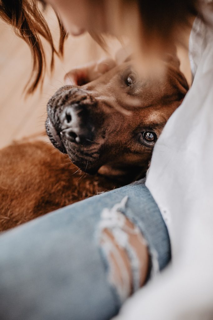 fellfreundschaft-carlos und jessi-homestory-saarwelllingen-saarland