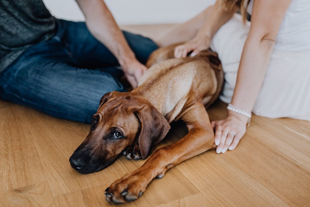fellfreundschaften-susiundholly-saarwellingen-saarland