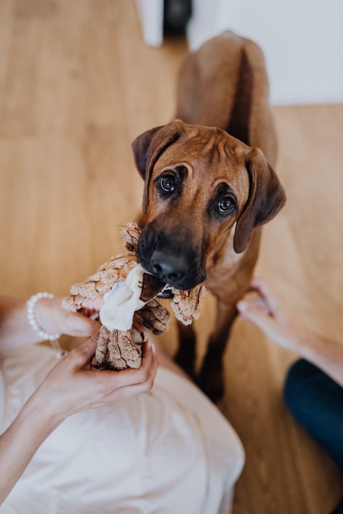 fellfreundschaften-susiundholly-saarwellingen-saarland