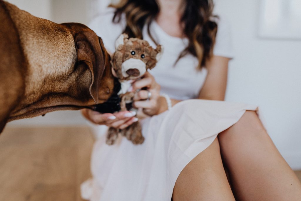 fellfreundschaften-susiundholly-saarwellingen-saarland