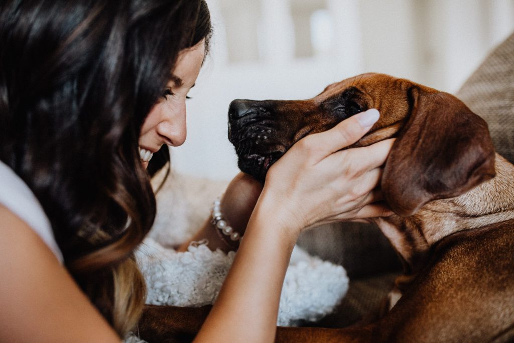 fellfreundschaften-susiundholly-saarwellingen-saarland