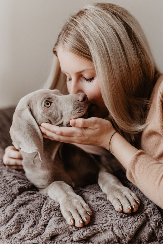 fellfreundschaften-weimaraner-welpe-hundefotografie-anikalauer-campusnobel-saarwellingen-saarland-hundefotograf
