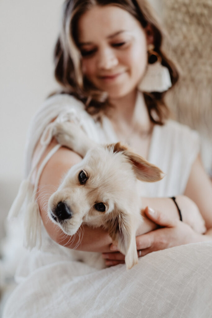 Welpenfotografie-welpenfotoshooting-Saarland-Golden Retriever Welpe-Puppy
