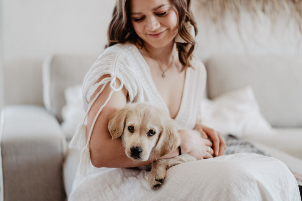 Welpenfotografie-welpenfotoshooting-Saarland-Golden Retriever Welpe-Puppy
