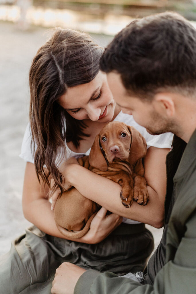 fellfreundschaften-magyar vizsla - welpenshooting-saarwellingen-saarland