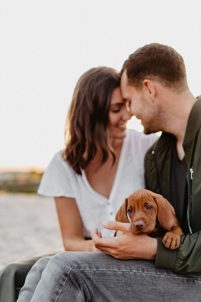 fellfreundschaften-magyar vizsla - welpenshooting-saarwellingen-saarland