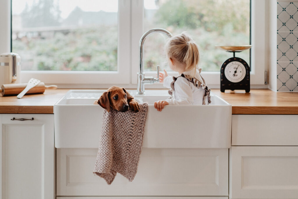 Ridgeback Welpe Fellfreundschaften Hundefotograf Saarland