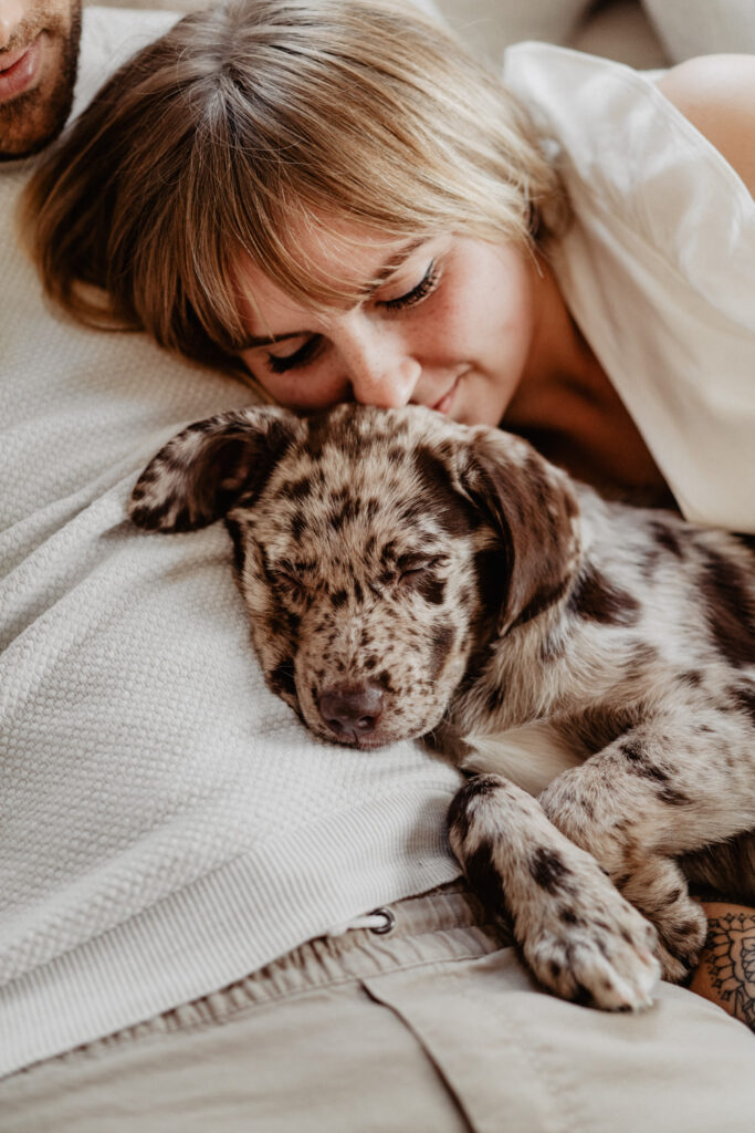 Aussiedor Welpe Fellfreundschaften