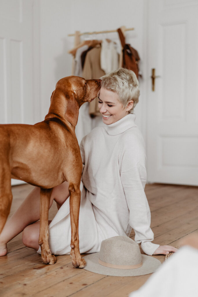 Magyar Vizla, Vizla, Hundefotografie