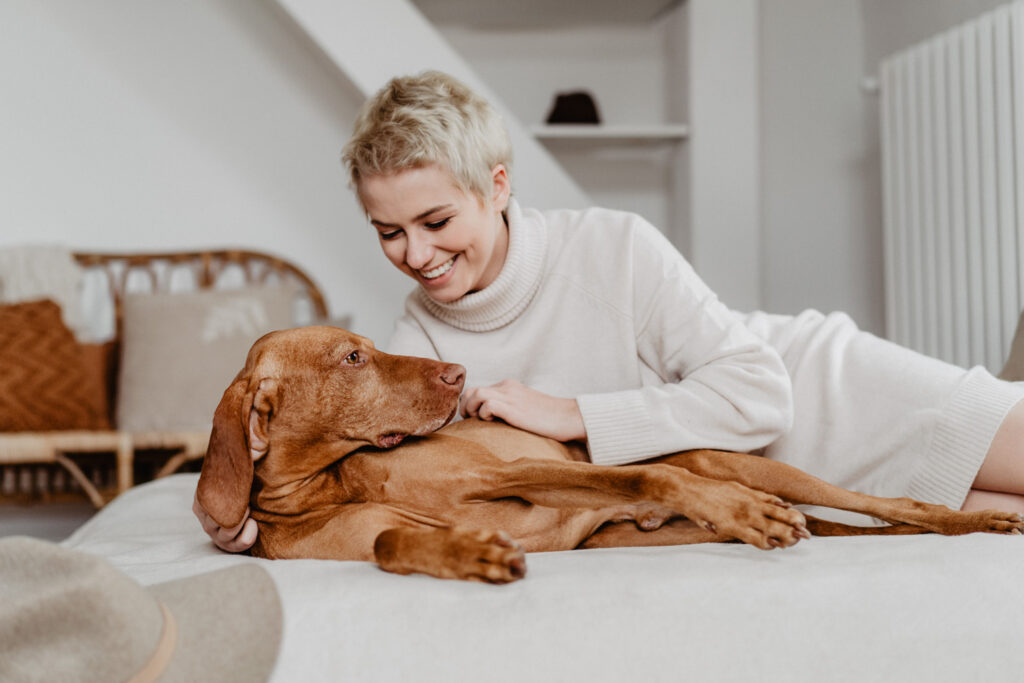 Magyar Vizla, Vizla, Hundefotografie