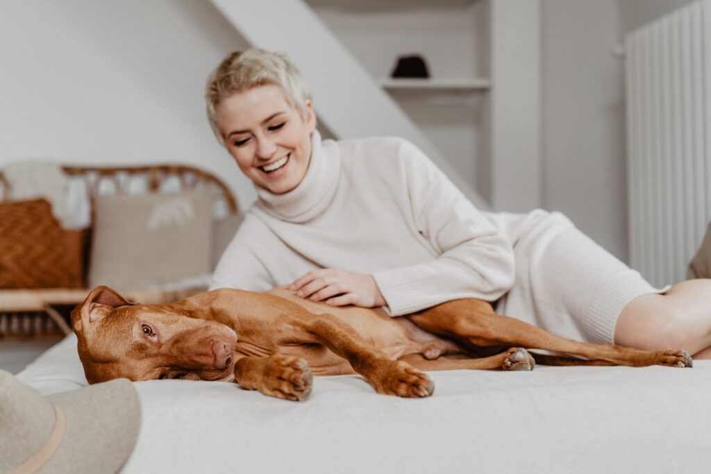 Magyar Vizla, Vizla, Hundefotografie