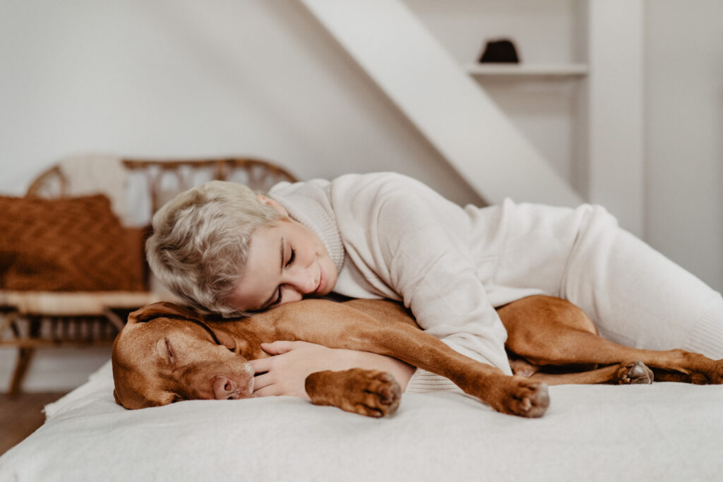Magyar Vizla, Vizla, Hundefotografie