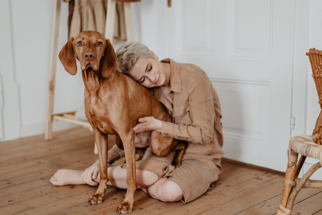 Magyar Vizla, Vizla, Hundefotografie