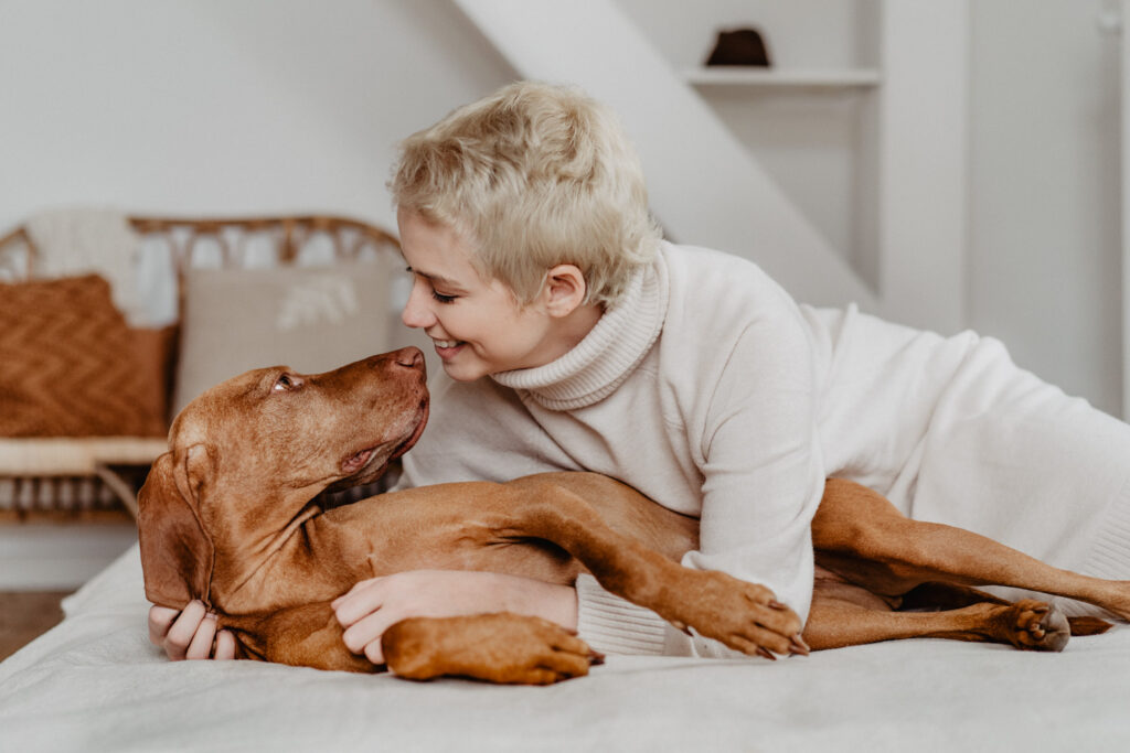 Magyar Vizla, Vizla, Hundefotografie