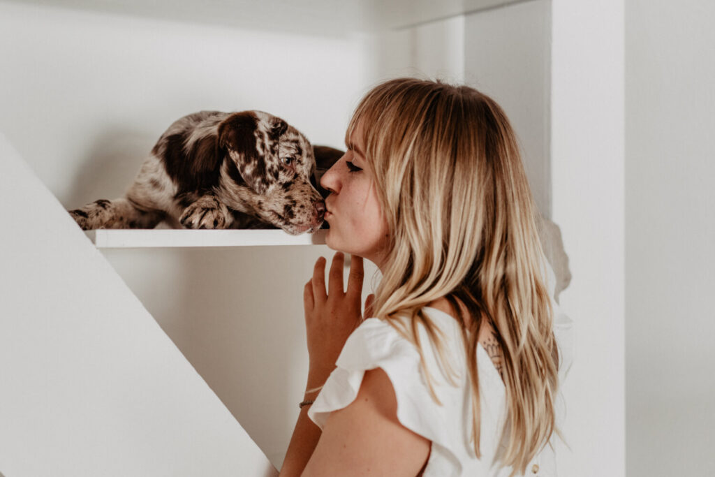 Welpenfotografie-Aussiedor-Hundwelpe-Fellfreundschaften